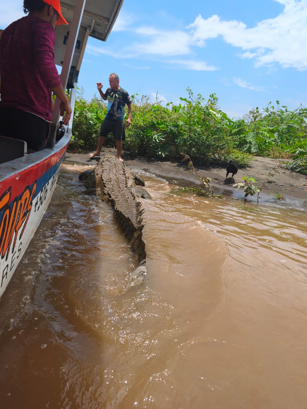 Tour de Cocodrilos y Vida Silvestre