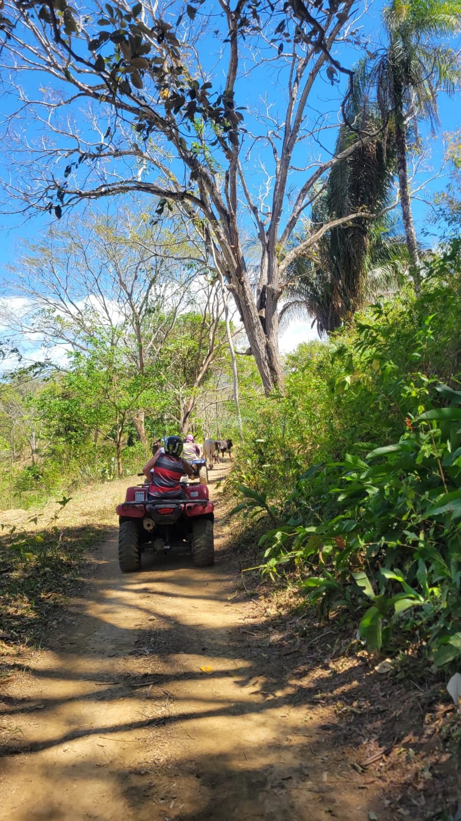 Sayfer Tours CR — imagen 23