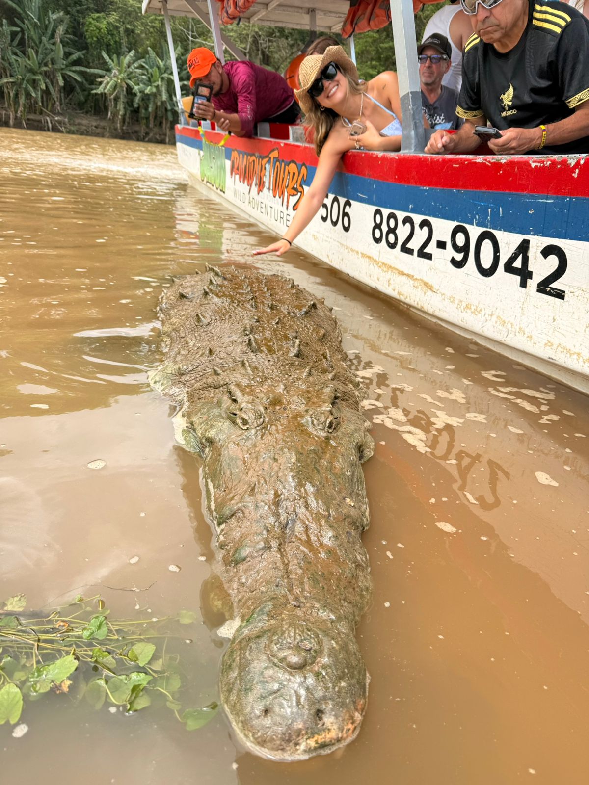 Sayfer Tours CR — imagen 3